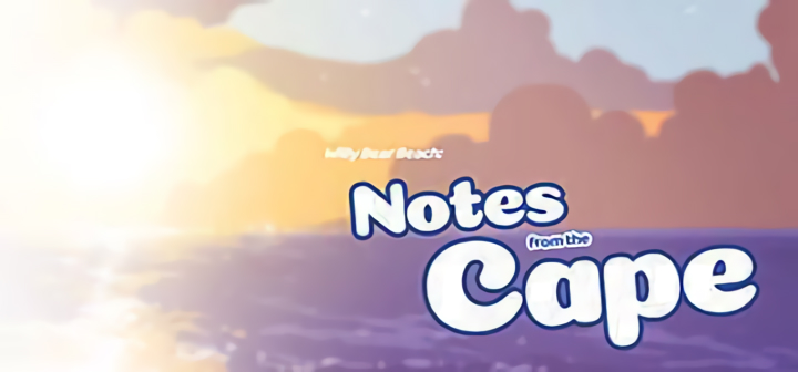 Notes from the Cape