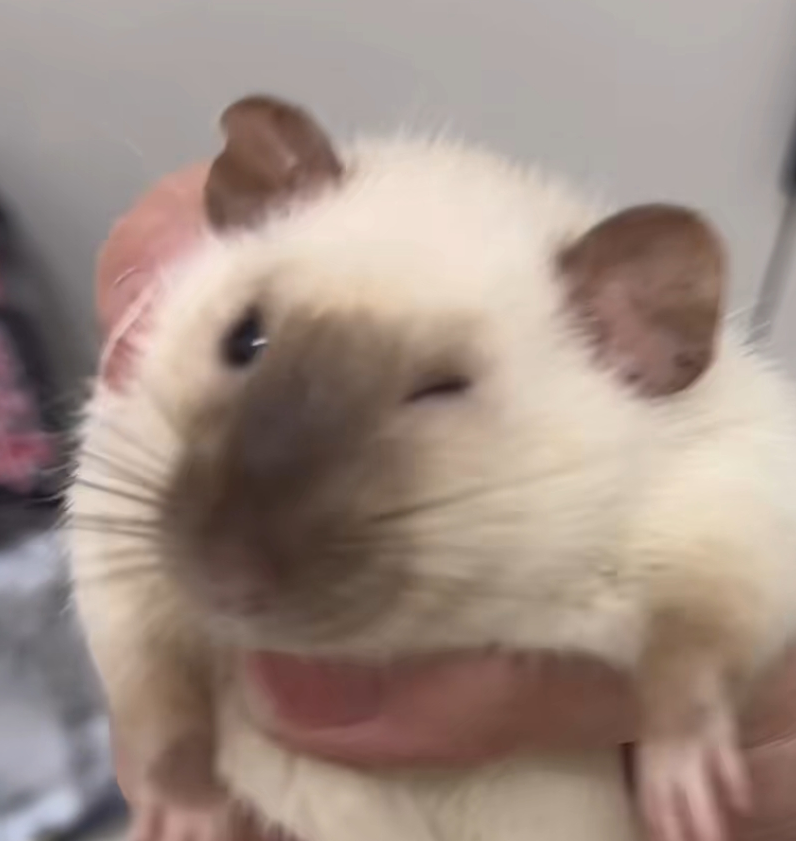 有无