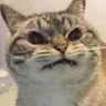 柚佑
